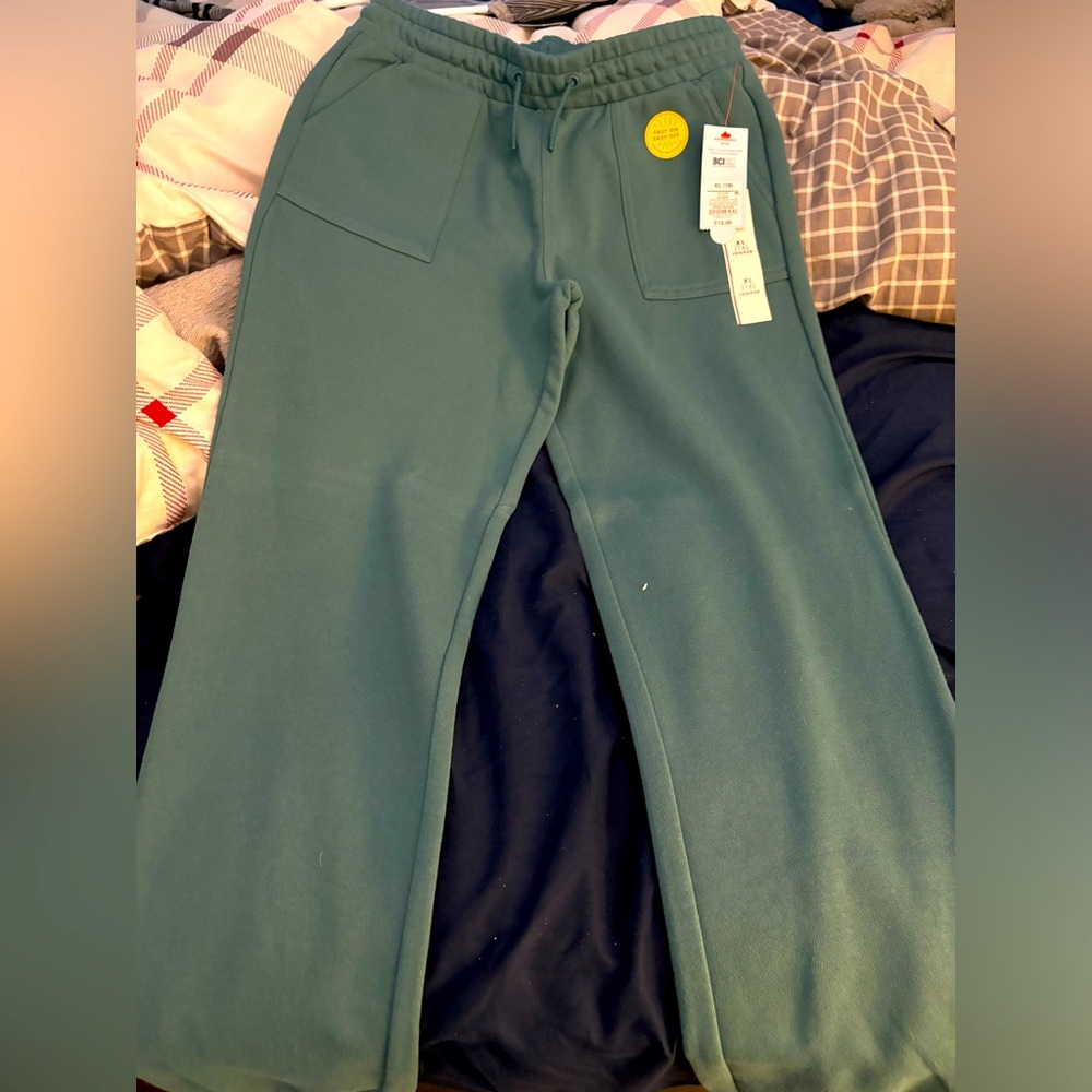 Teal sweat pants